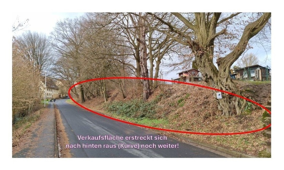 unbebautes Grundstück in Uslar