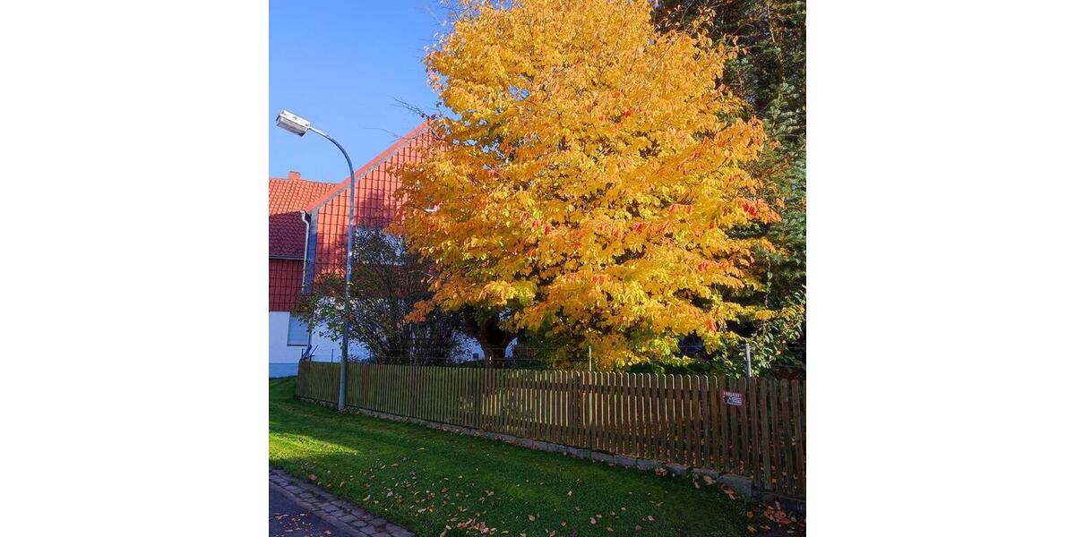 Bauernhaus, Landhaus Moringen - 7 Zimmer, 220 m&sup2;, 850&euro; | Angebot:25572029