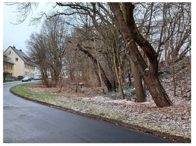 unbebautes Grundstück in Uslar zimmer