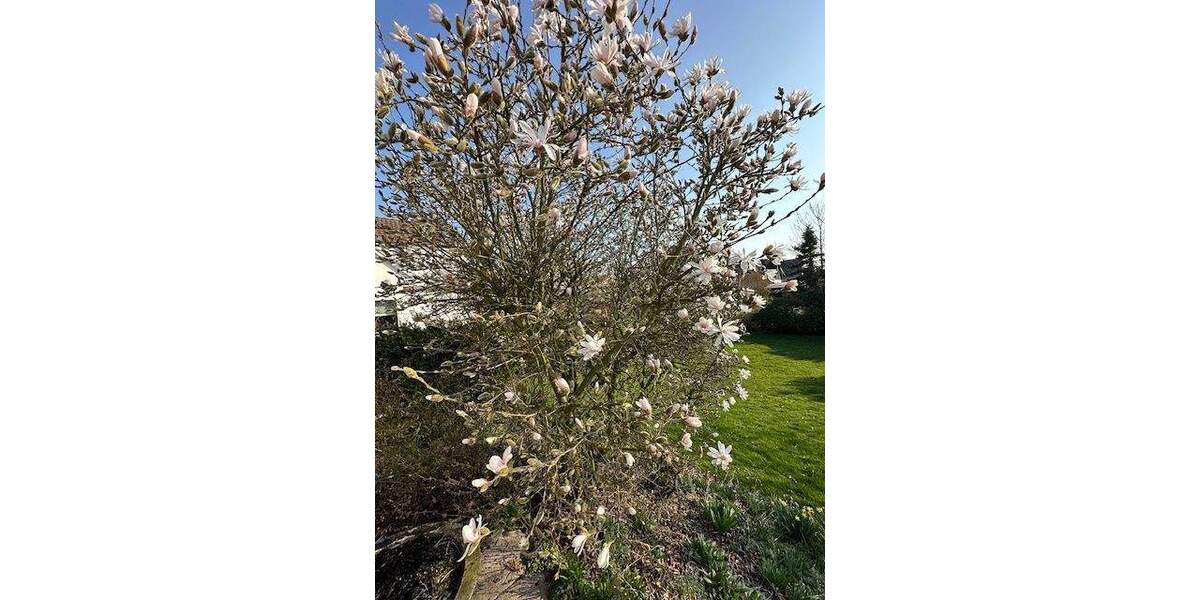 Mehrfamilienhaus, Wohnhaus Katlenburg-Lindau Berka - 1 Zimmer, 141 m&sup2;, 269.000&euro; | Angebot:25820982