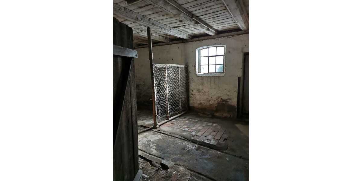Resthof mit Stallungen, großer Scheune und viel Potential in ruhiger Dorflage von Uslar - Bauernhaus, Landhaus Uslar Kammerborn | Angebot:26991340