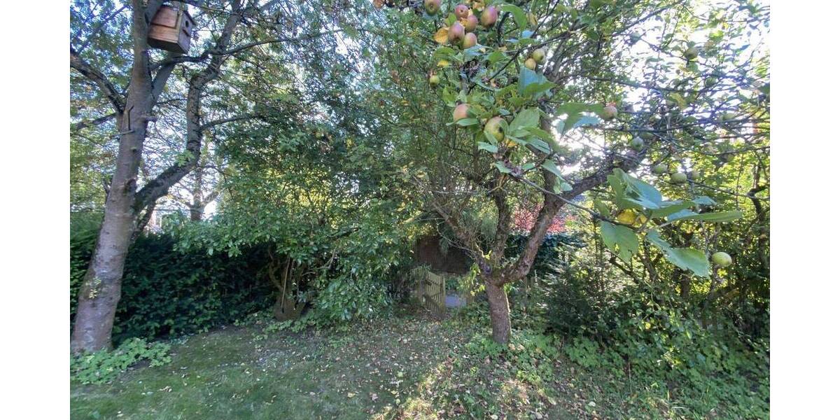 Doppelhaushälfte Göttingen Nikolausberg - 6 Zimmer, 175 m&sup2;, 539.000&euro; | Angebot:26155030