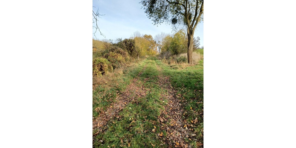 3.248 m2 Grünland in Göttingen OT Nikolausberg zimmer