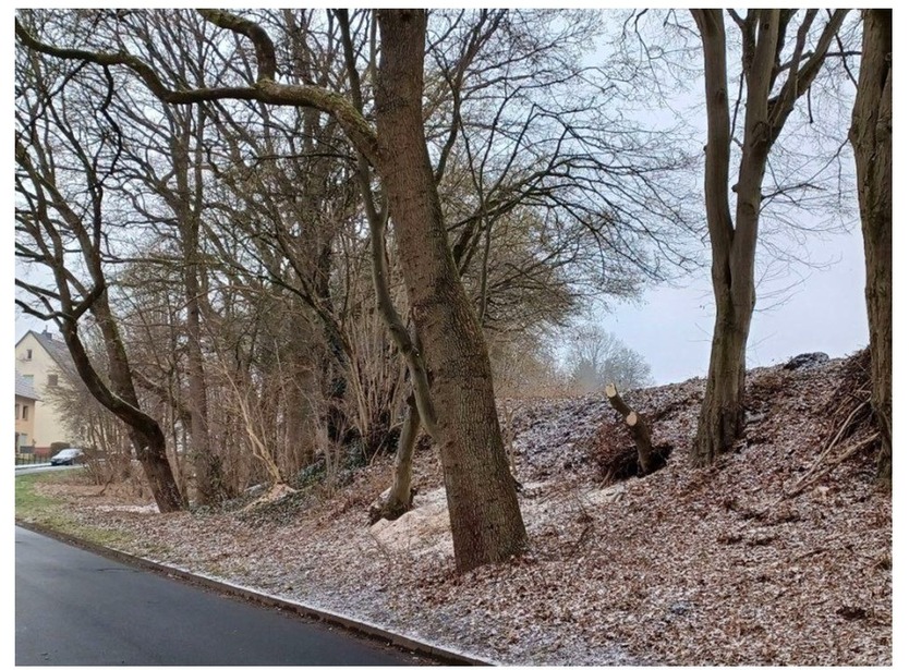 unbebautes Grundstück in Uslar zimmer