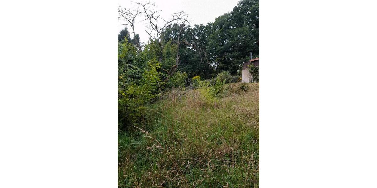 Einfamilienhaus Witzenhausen Albshausen - 48.000&euro; | Angebot:24422478