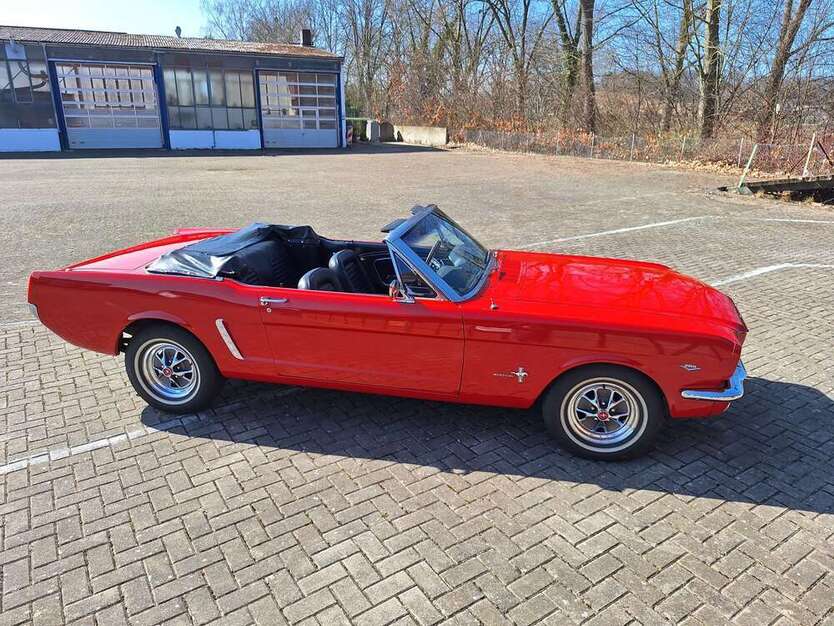 Mustang