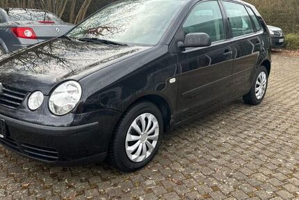 VW Polo