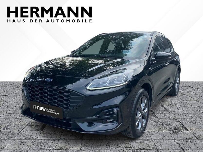 Kuga