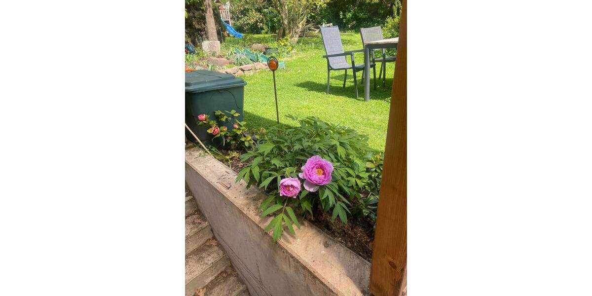 Einfamilienhaus Hardegsen - 7 Zimmer, 177 m&sup2;, 420.000&euro; | Angebot:27216258