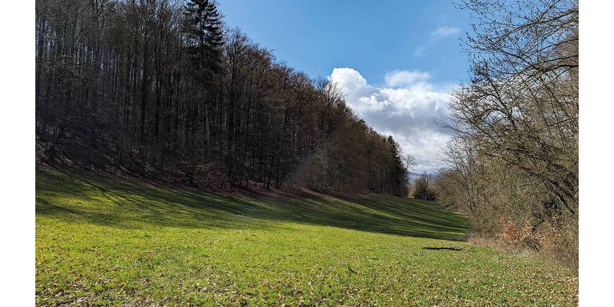 Grundstück Asbach-Sickenberg Sickenberg - 8.000&euro; | Angebot:26246343