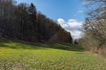Grundstück Asbach-Sickenberg Sickenberg - 8.000&euro; | Angebot:26246343