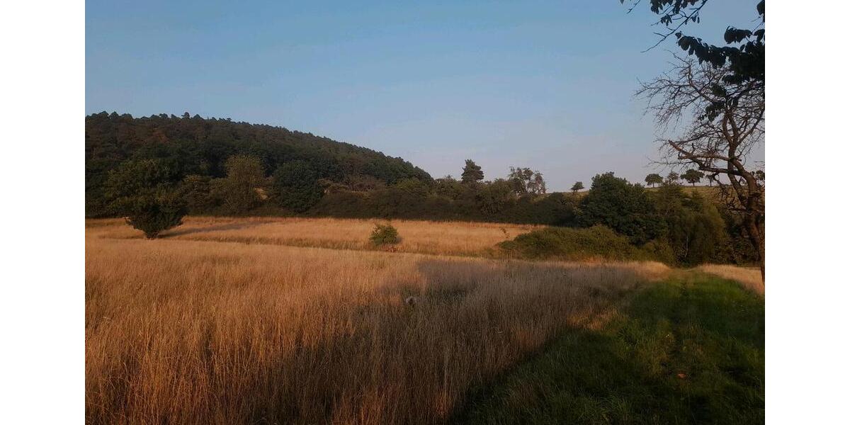 Einfamilienhaus Witzenhausen Albshausen - 48.000&euro; | Angebot:24422478