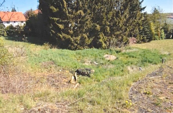 Mehrfamilienhaus, Wohnhaus Witzenhausen Blickershausen - 8 Zimmer, 250 m&sup2;, 345.000&euro; | Angebot:24420522