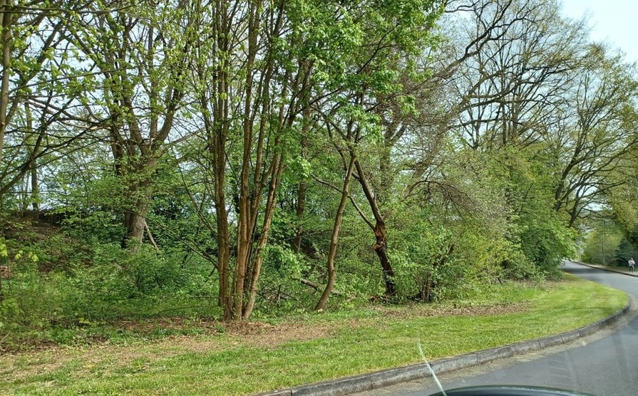 unbebautes Grundstück in Uslar zimmer