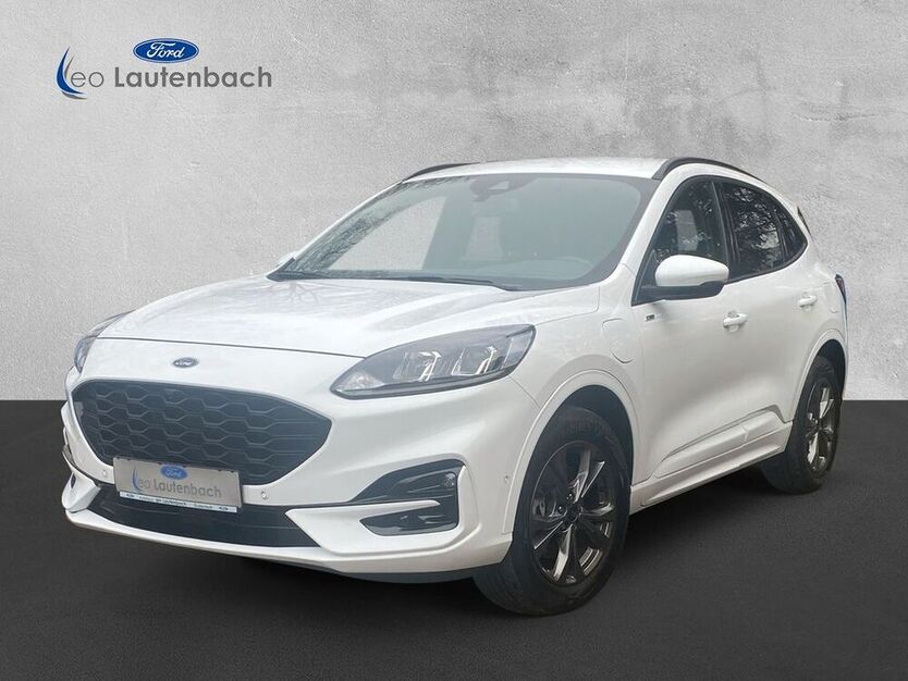 Kuga
