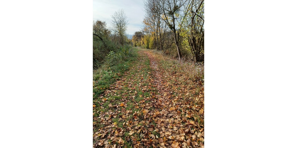 3.248 m2 Grünland in Göttingen OT Nikolausberg zimmer