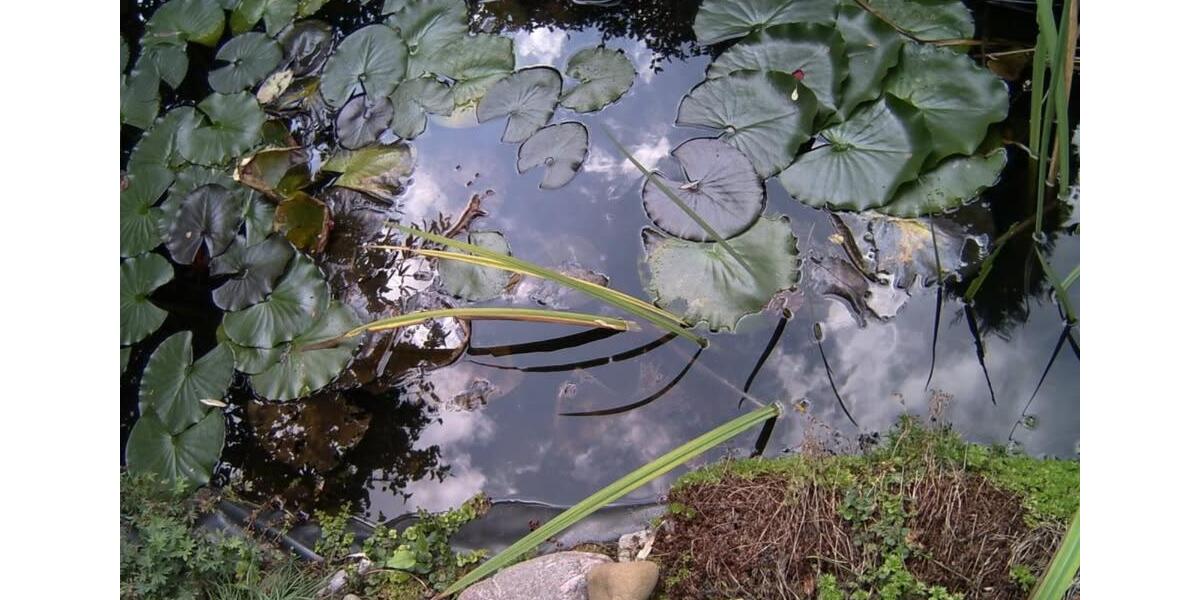 Dachgeschoßwohnung Northeim - 4 Zimmer, 90 m&sup2;, 490&euro; | Angebot:24638216