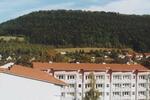 Erdgeschoßwohnung Heilbad Heiligenstadt - 3 Zimmer, 53 m&sup2;, 300&euro; | Angebot:26424055