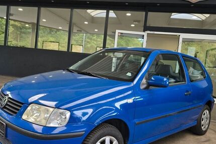 VW Polo