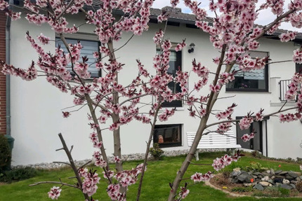 Großzügiges Einfamilienhaus mit EinliegerWohnung in ruhiger Lage von Katlenburg-Lindau