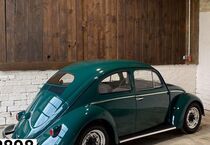 VW Käfer