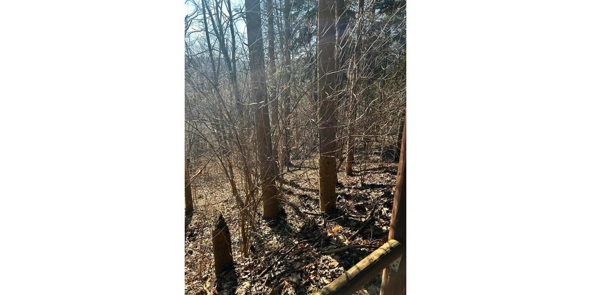 Einfamilienhaus Hardegsen - 4 Zimmer, 70 m&sup2;, 225.000&euro; | Angebot:25235417