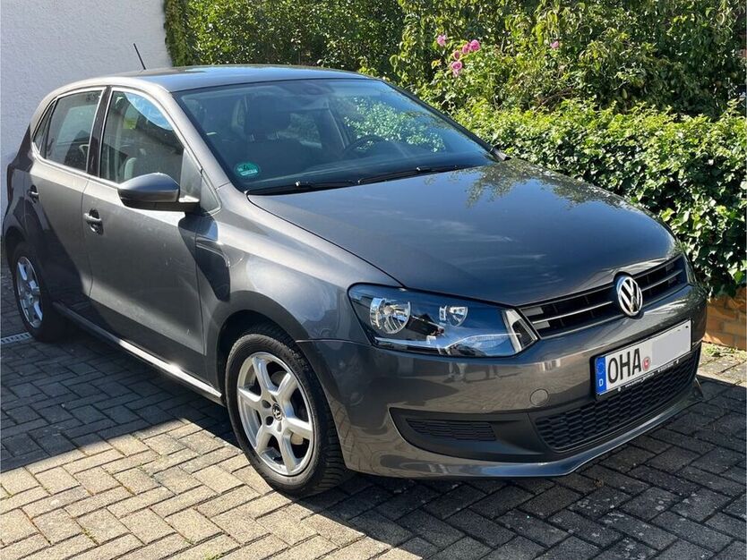 Polo