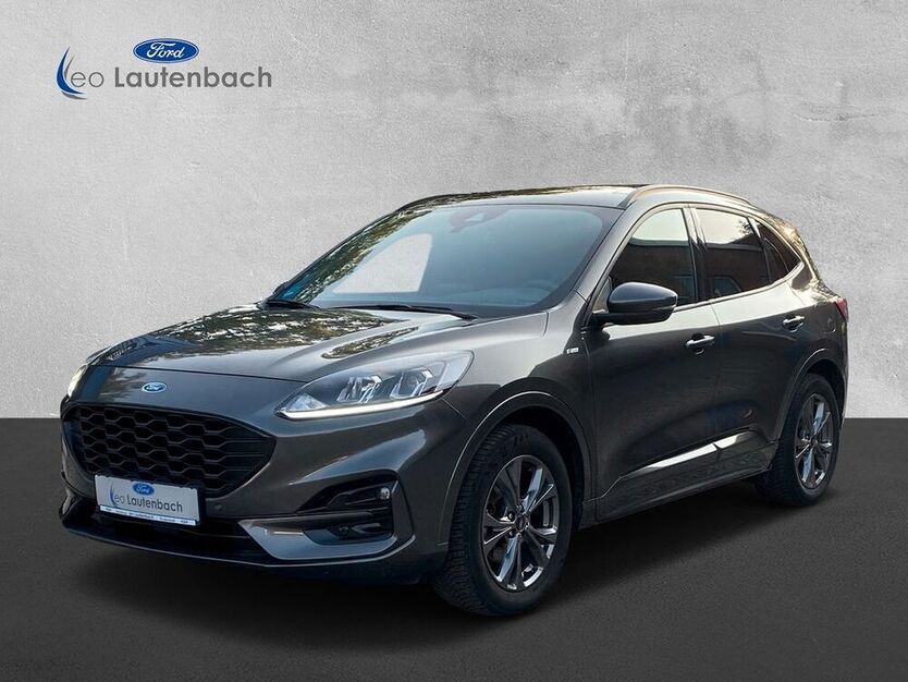 Kuga