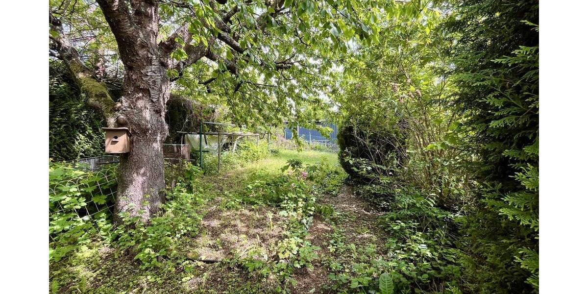 Einfamilienhaus Northeim - 7 Zimmer, 175 m&sup2;, 275.000&euro; | Angebot:26696909