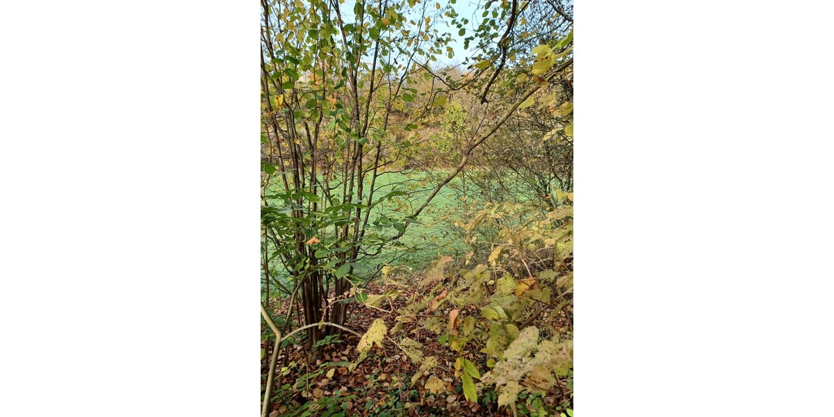 3.248 m2 Grünland in Göttingen OT Nikolausberg zimmer