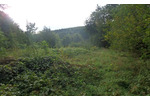 ungepflegte und ggf. belastete Holzungsfläche östlich von Bodenfelde zimmer