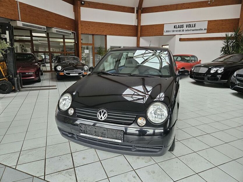 Lupo
