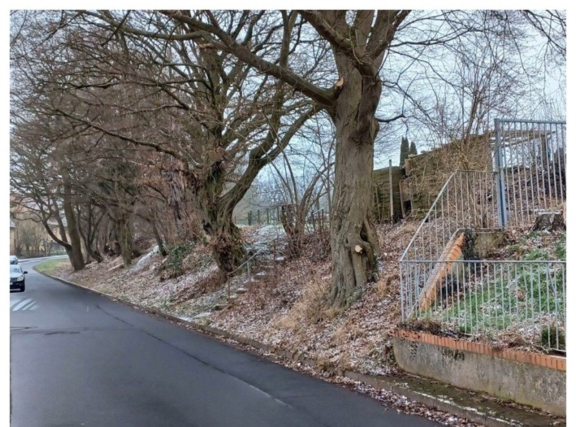 unbebautes Grundstück in Uslar zimmer