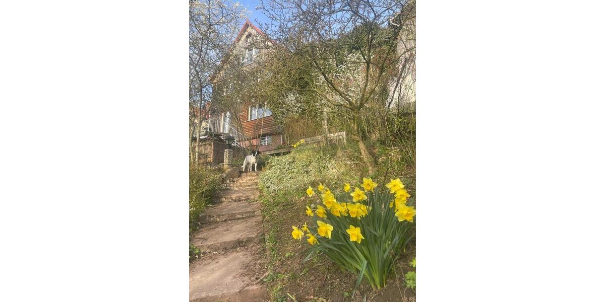 Einfamilienhaus Gleichen - 12 Zimmer, 220 m&sup2;, 330.000&euro; | Angebot:26726147