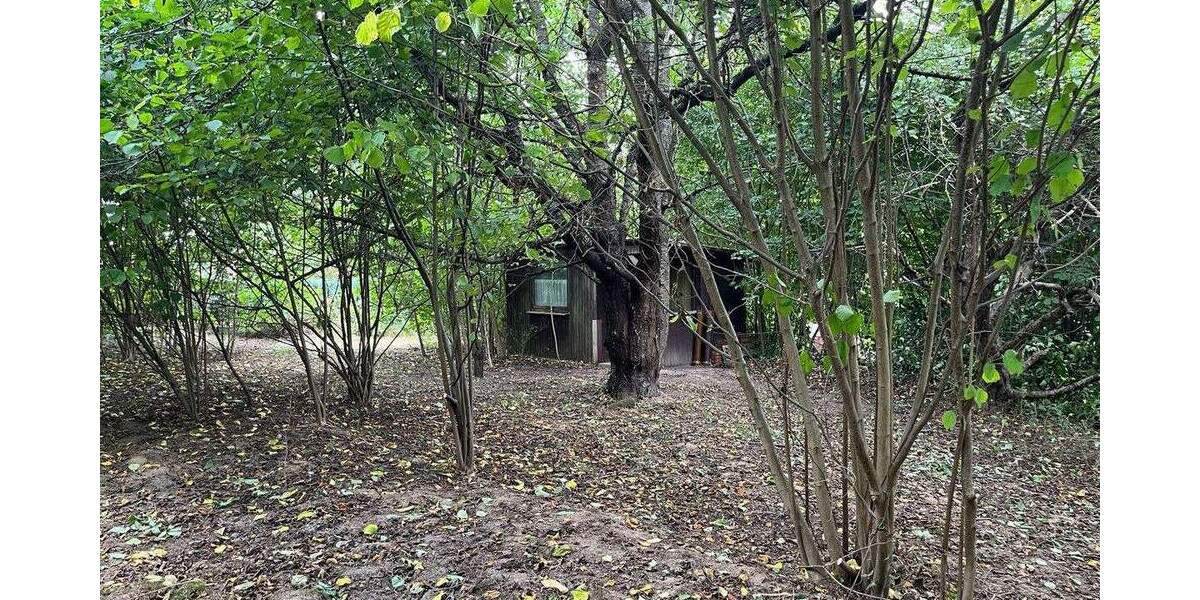 Einfamilienhaus Duderstadt / Hilkerode Hilkerode - 5 Zimmer, 158 m&sup2;, 170.000&euro; | Angebot:25736651