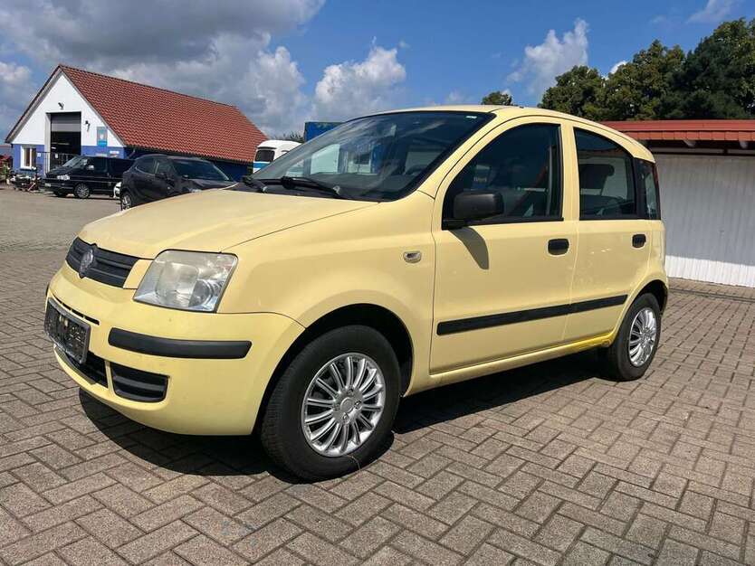 Panda