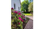 Einfamilienhaus Friedland - 6.5 Zimmer, 220 m&sup2;, 2.250&euro; | Angebot:26197204