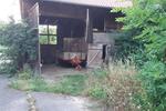 Einfamilienhaus Neu-Eichenberg Eichenberg - 45.000&euro; | Angebot:22552451