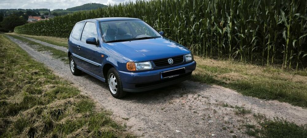 Polo