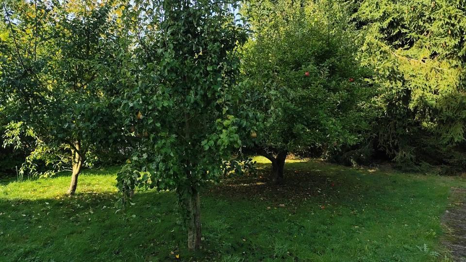 Sonnige ,ruhige Wohnung in Wesertal - Lippoldsberg zu vermieten