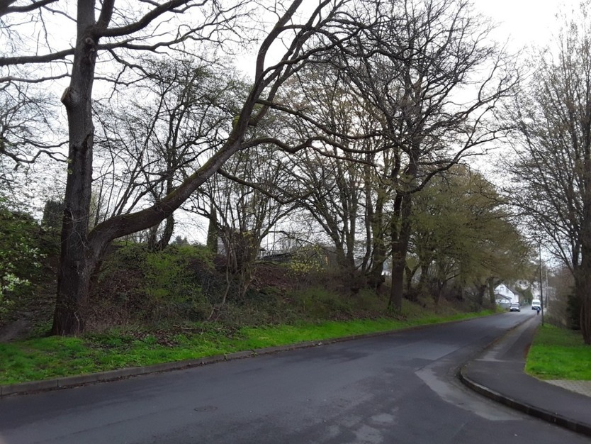 unbebautes Grundstück in Uslar zimmer