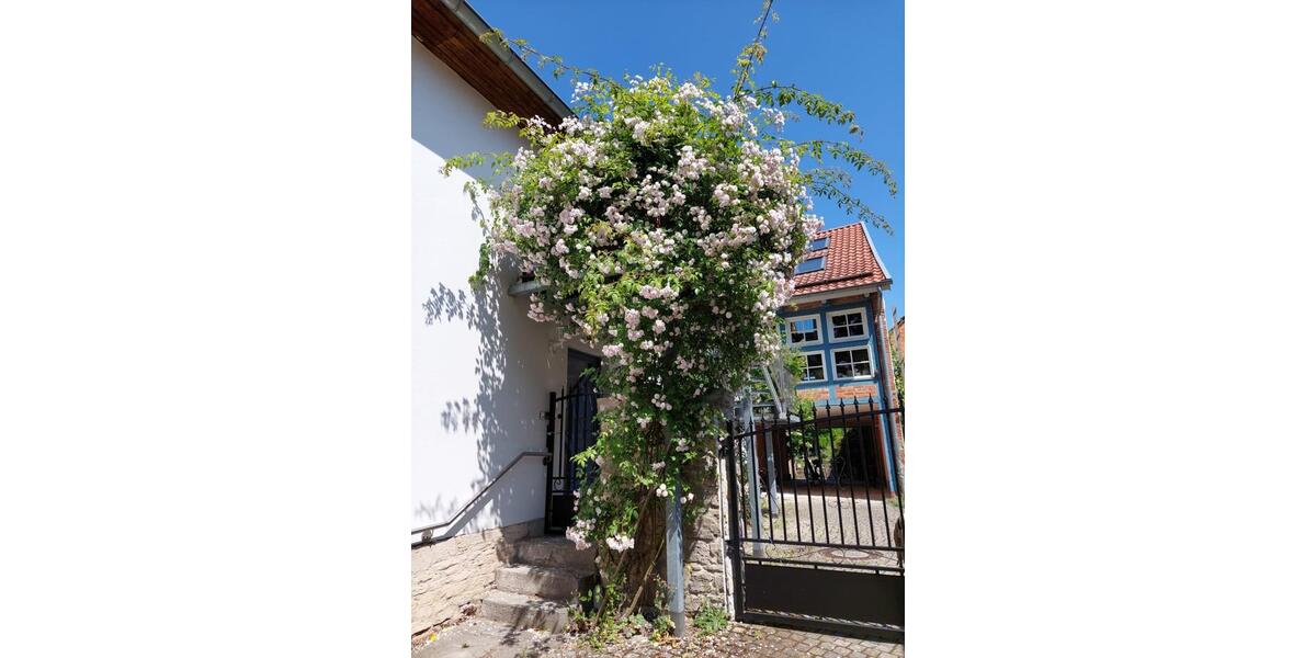 Erdgeschoßwohnung Göttingen Roringen - 2 Zimmer, 95 m&sup2;, 1.200&euro; | Angebot:26380900