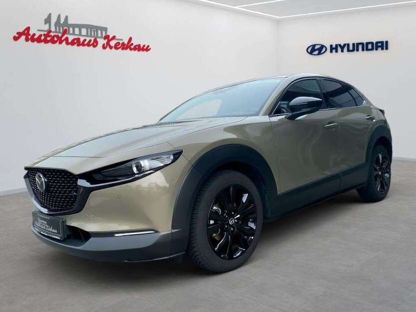 CX-30