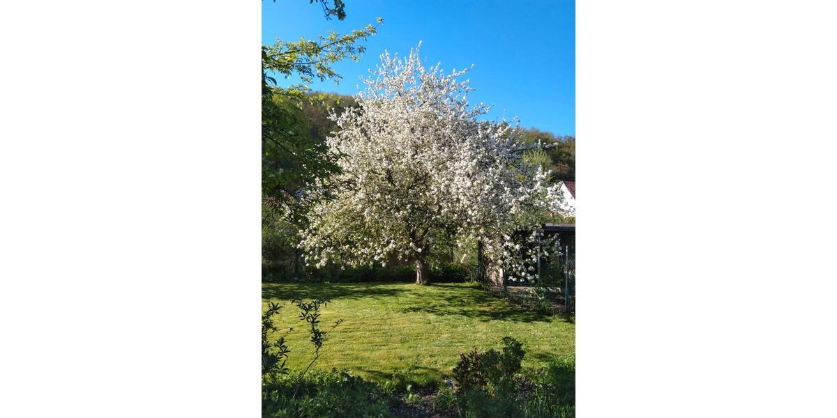 Mehrfamilienhaus, Wohnhaus Nörten-Hardenberg Hardenberg - 12 Zimmer, 224 m&sup2;, 339.000&euro; | Angebot:26904425