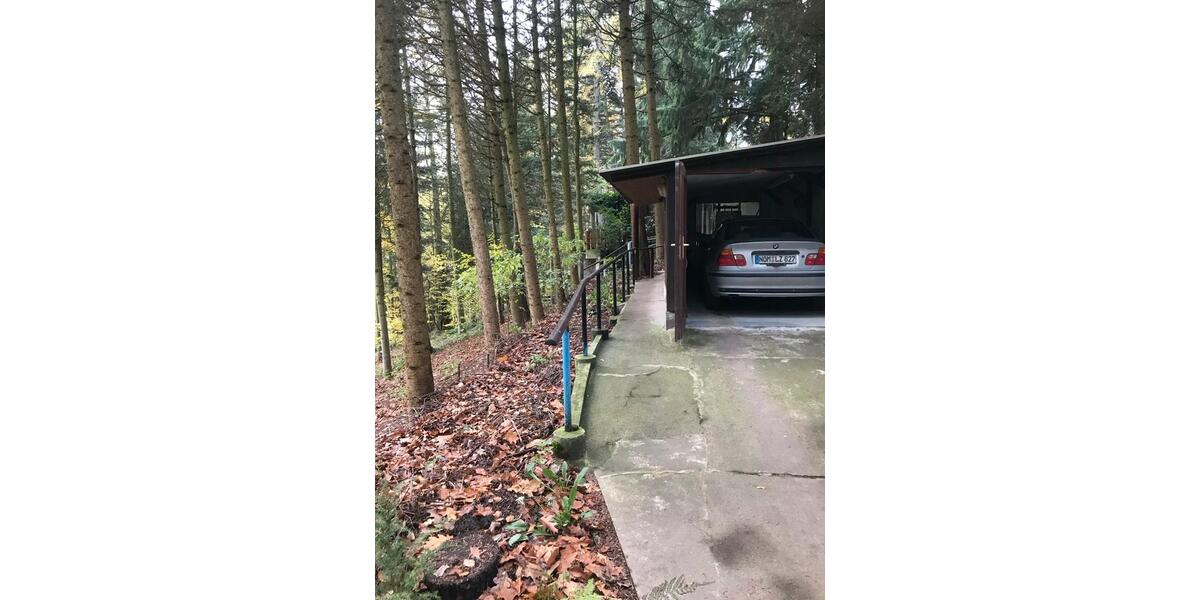 Kleines idyllisches Häuschen auf Waldgrundstück trotzdem stadtnah 4 zimmer