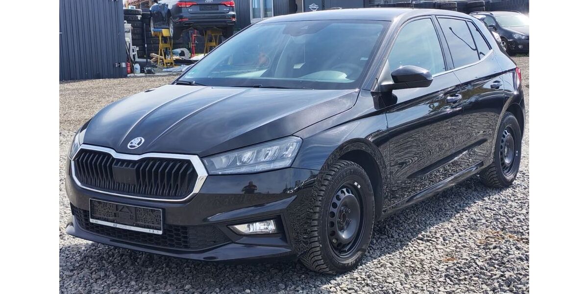 Skoda Fabia 101.264 km 13.090 &euro; Rosdorf 37124