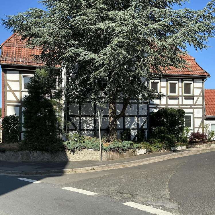 Haus zum Kaufen in Jühnde 295.000 € 343 m²