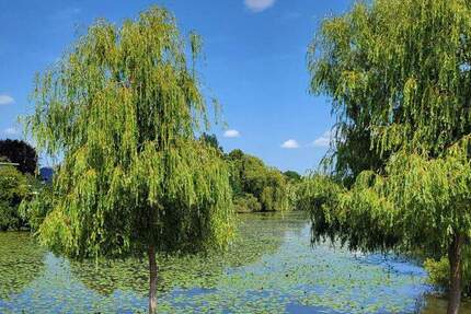 Wedel, 4 Zimmer Wohnung, direkter Blick auf den Mühlenteich, ca. 80 qm, ruhig und dennoch zentral, vermietet, provisionsfrei!