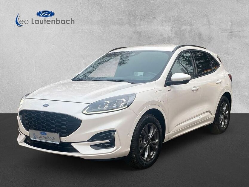 Kuga