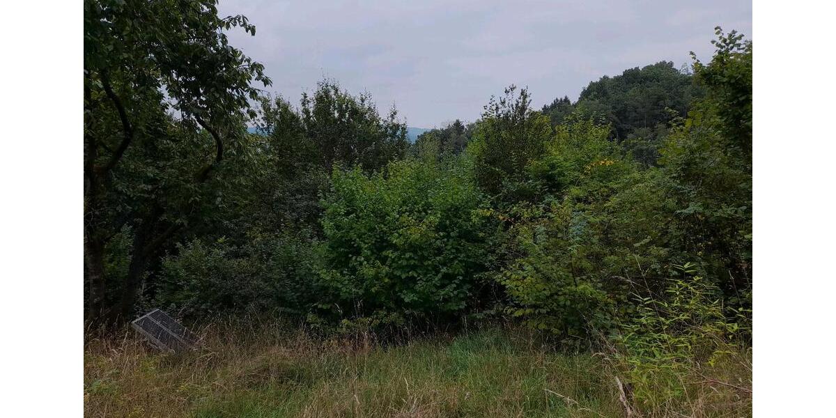 Einfamilienhaus Witzenhausen Albshausen - 48.000&euro; | Angebot:24422478